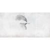 Rimura | Colibri