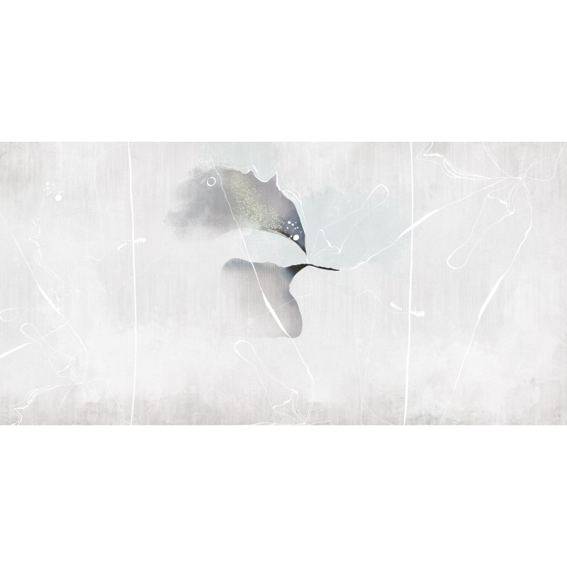 Rimura | Colibri