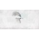 Rimura | Colibri