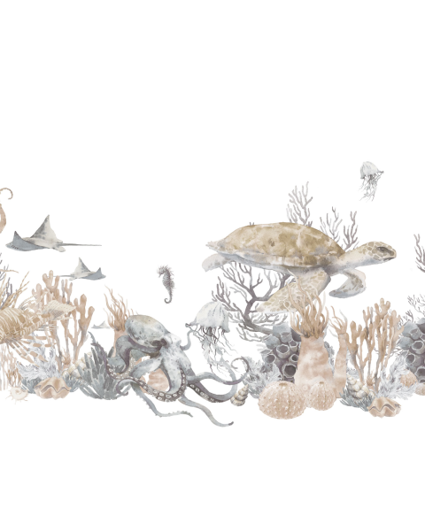 Rimura | Corallina