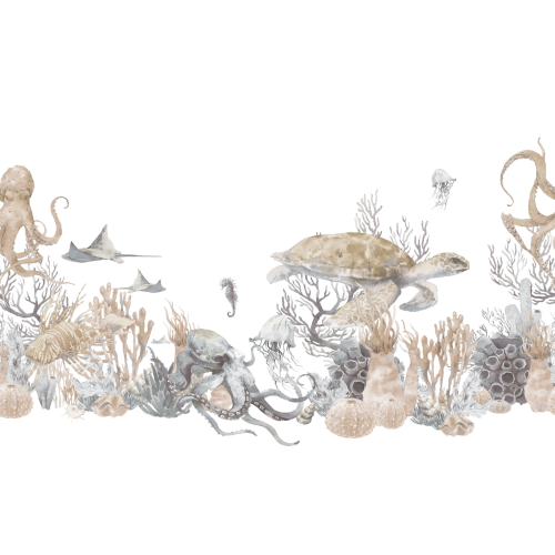 Rimura | Corallina