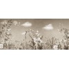 Rimura | Corinthia