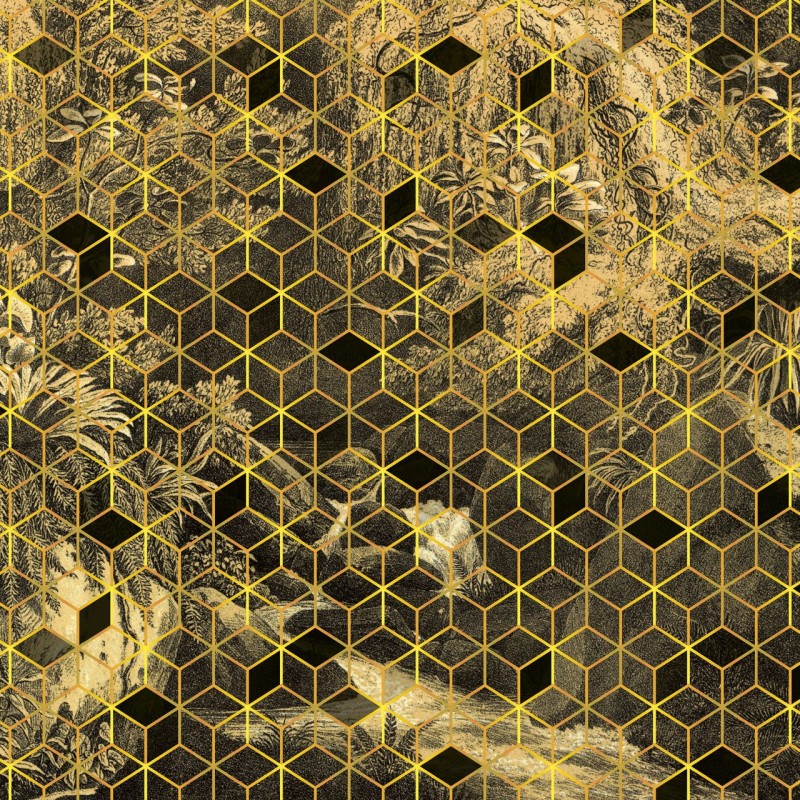 Rimura | Cube illusion