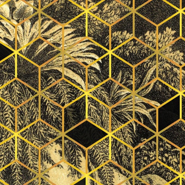 Rimura | Cube illusion