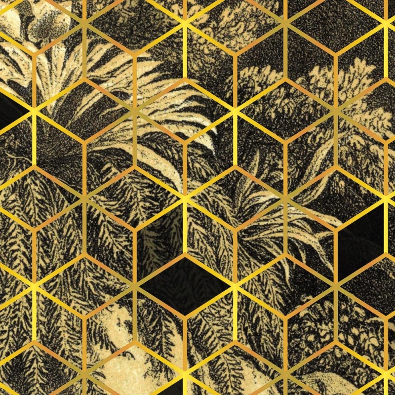 Rimura | Cube illusion