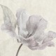Rimura | Dame