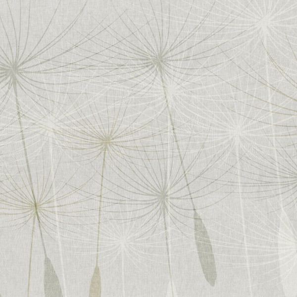 Rimura | Dandelion