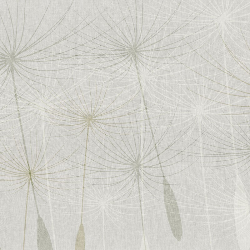 Rimura | Dandelion