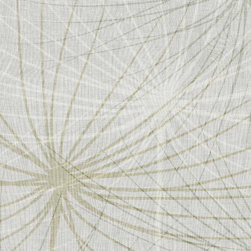 Rimura | Dandelion