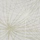 Rimura | Dandelion