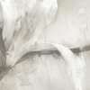 Rimura | Danza Dei Gigli