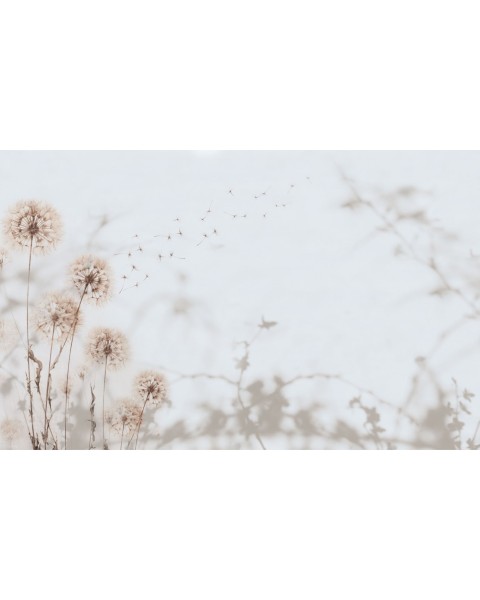 Rimura | Desiderio