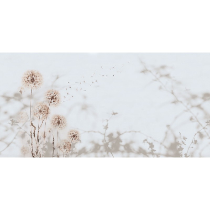 Rimura | Desiderio