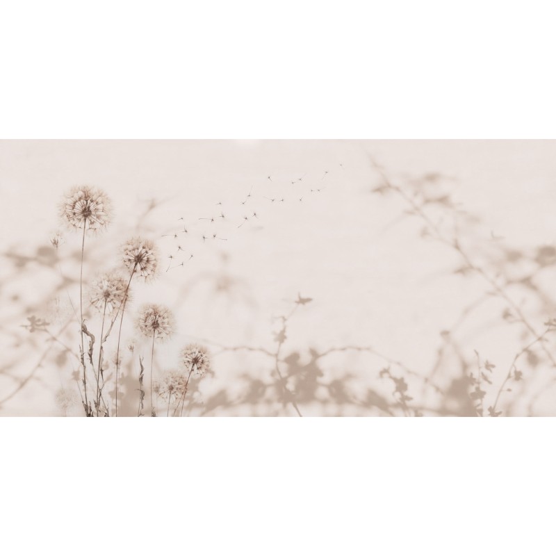 Rimura | Desiderio