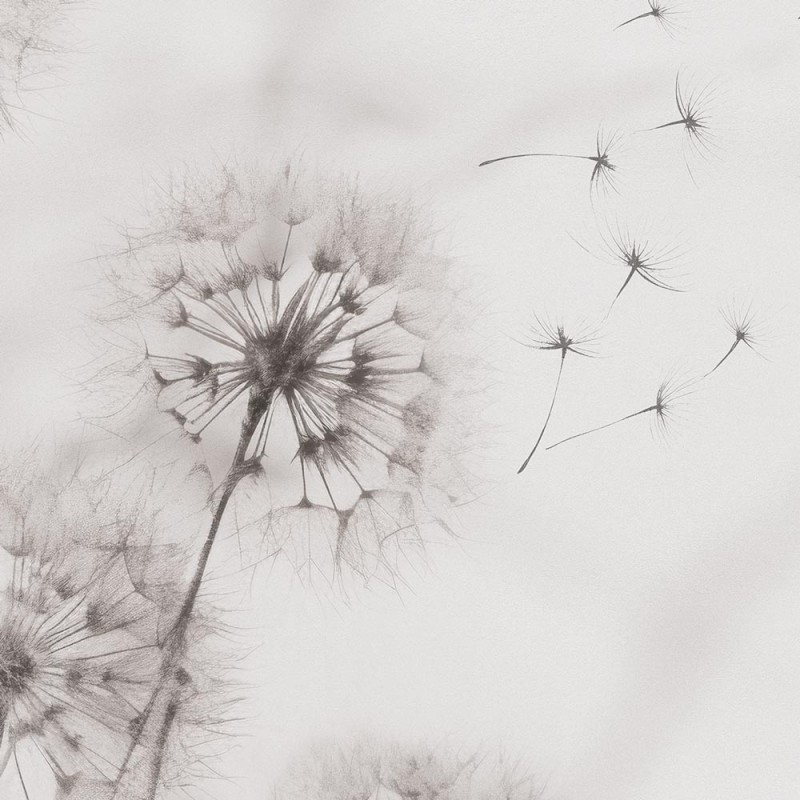 Rimura | Desiderio