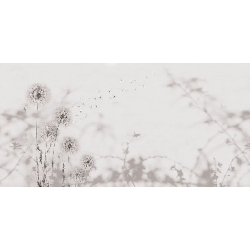 Rimura | Desiderio