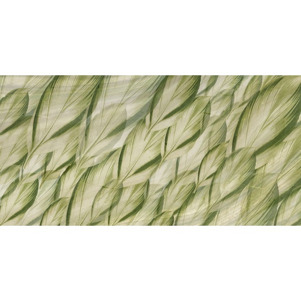 Rimura | Dracaena