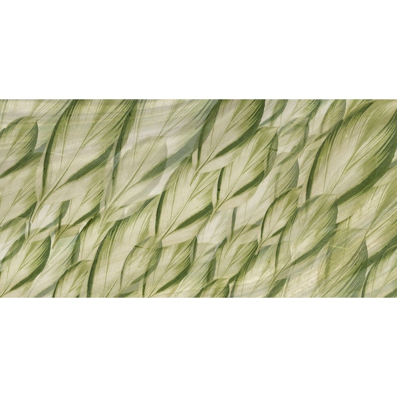 Rimura | Dracaena