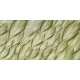 Rimura | Dracaena