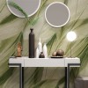Rimura | Dracaena