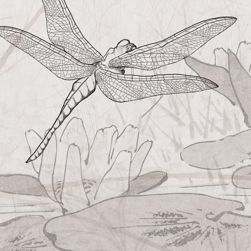 Rimura | Dragonfly