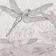 Rimura | Dragonfly