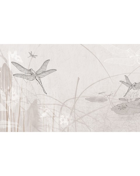 Rimura | Dragonfly