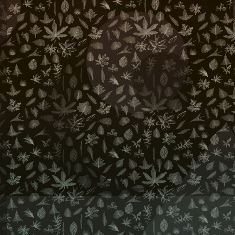 Rimura | Eclipse