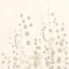 Rimura | Edera