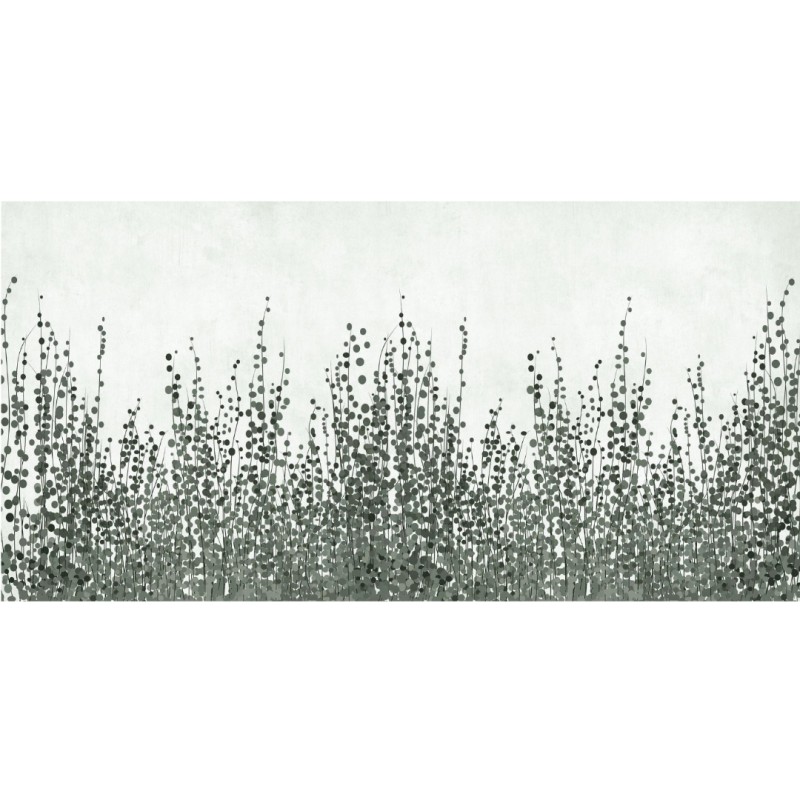 Rimura | Edera
