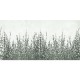 Rimura | Edera