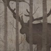 Rimura | Elaphus