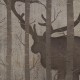 Rimura | Elaphus