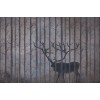 Rimura | Elaphus