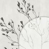 Rimura | Elisir
