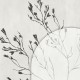 Rimura | Elisir