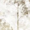Rimura | Ermione