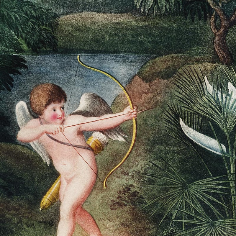 Rimura | Eros in Paradise