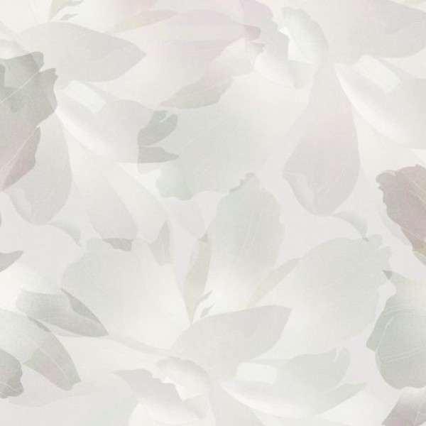Rimura | Eternity