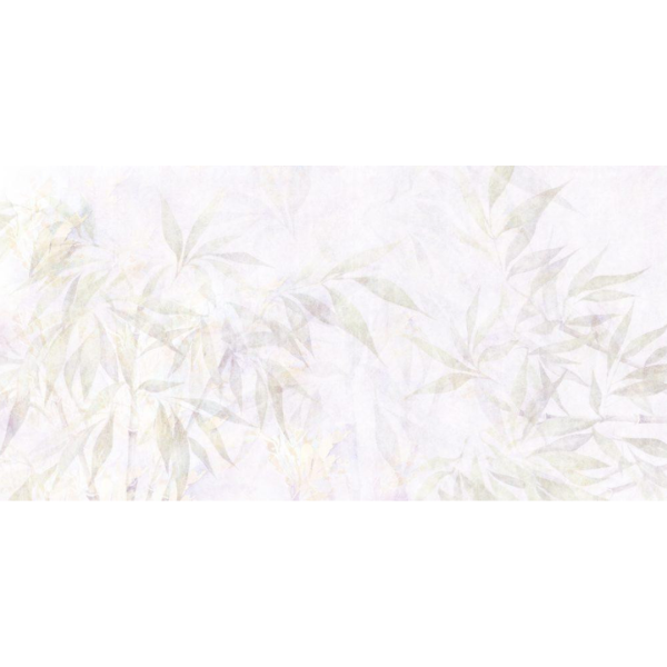 Rimura | Eucalipto