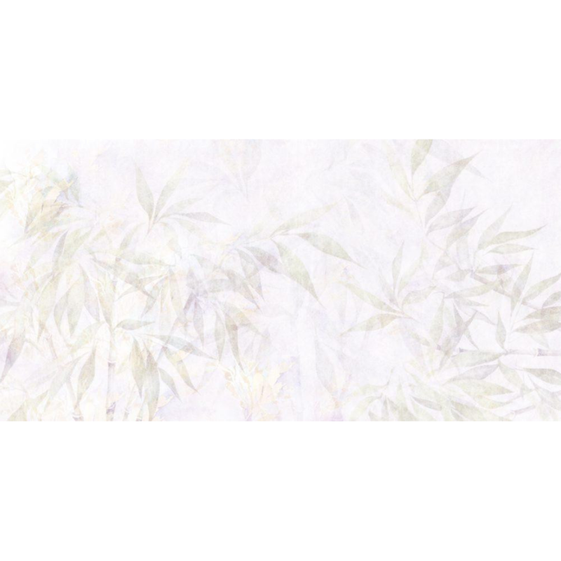 Rimura | Eucalipto