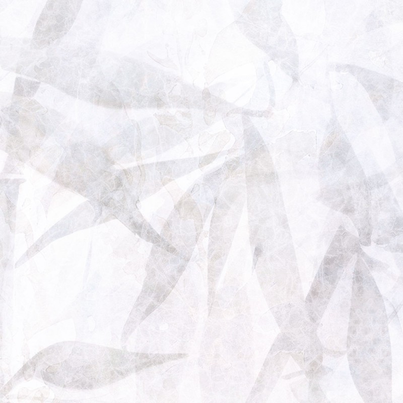 Rimura | Eucalipto