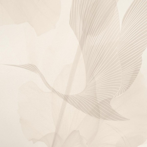 Rimura | Feelings