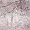 Rimura | Orientale
