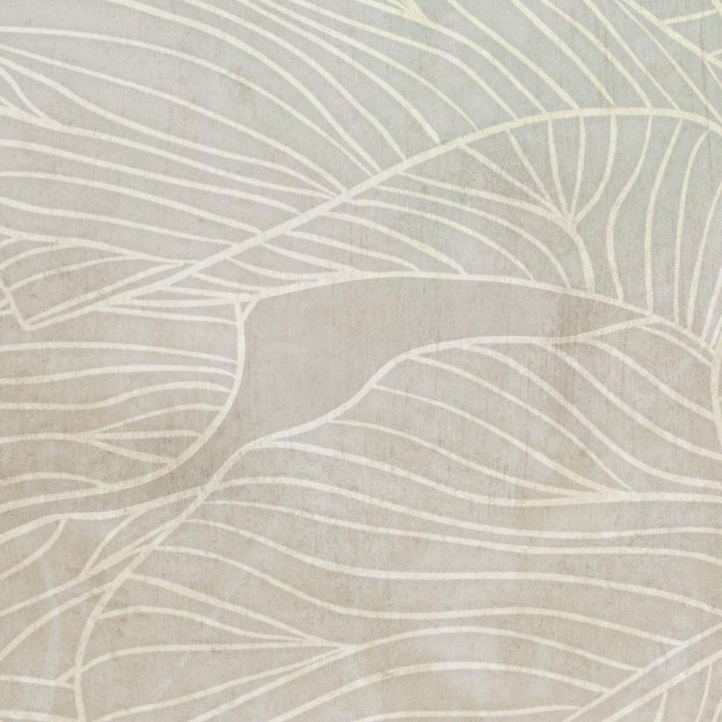 Rimura | Ficus