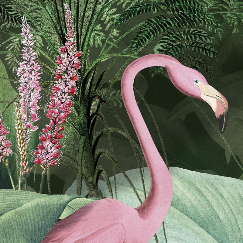Rimura | Flamingo in Love