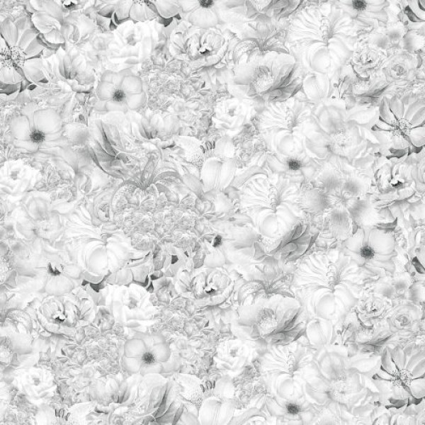 Rimura | Flowering