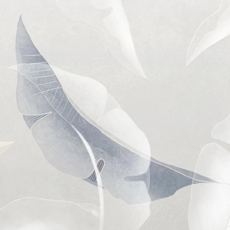 Rimura | Fluttua