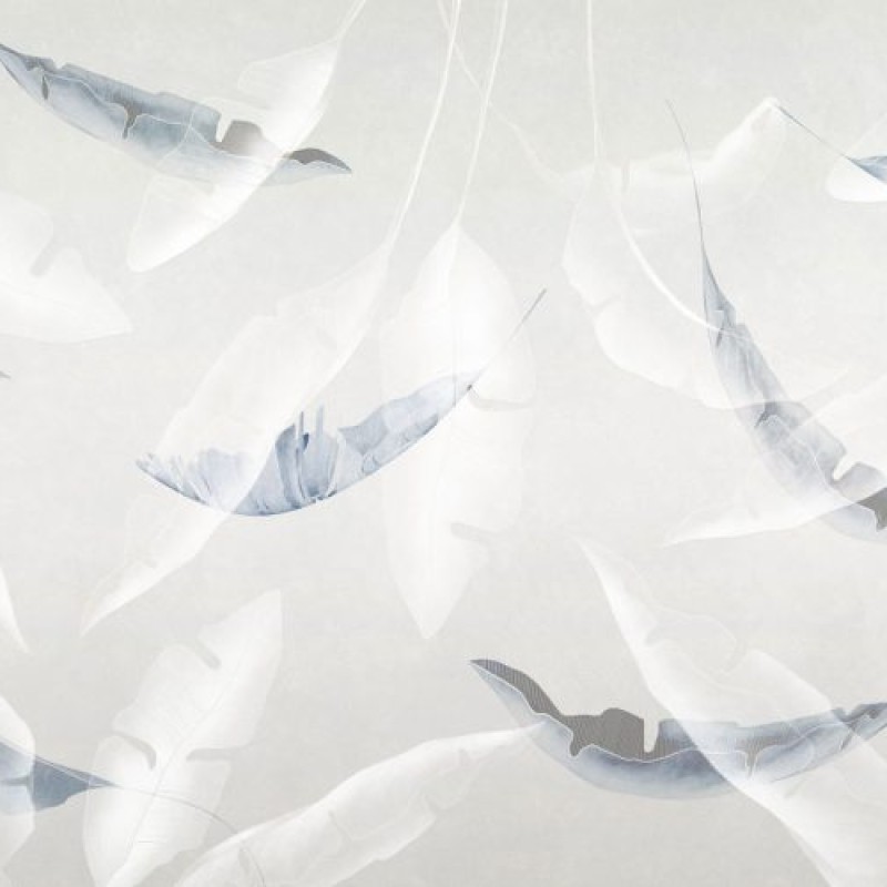 Rimura | Fluttua