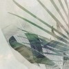 Rimura | Folia
